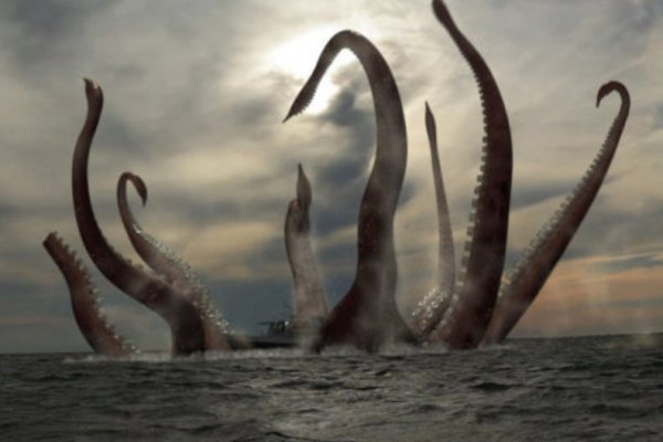 Kraken site